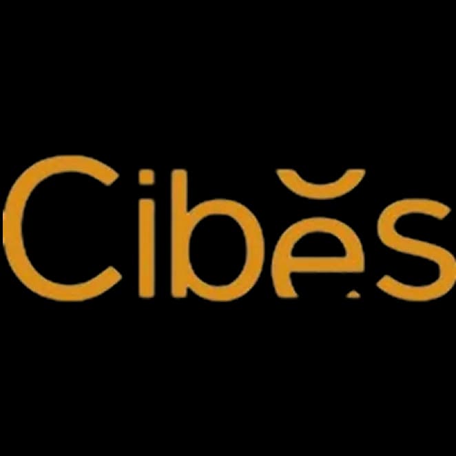 Superior Company Logo